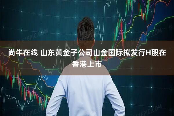 尚牛在线 山东黄金子公司山金国际拟发行H股在香港上市