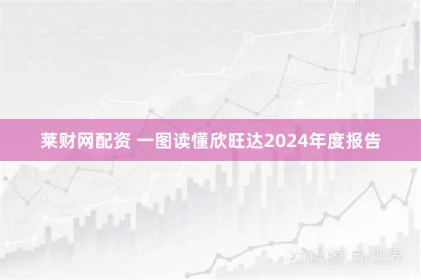 莱财网配资 一图读懂欣旺达2024年度报告