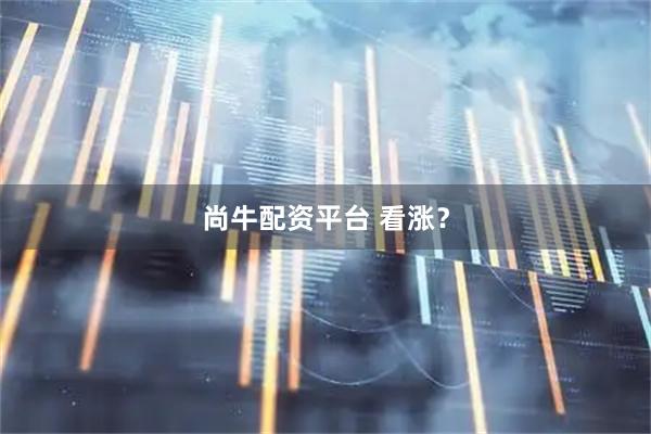 尚牛配资平台 看涨？