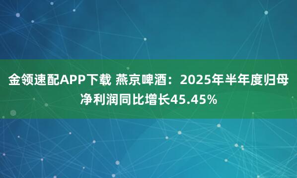 金领速配APP下载 燕京啤酒：2025年半年度归母净利润同比增长45.45%