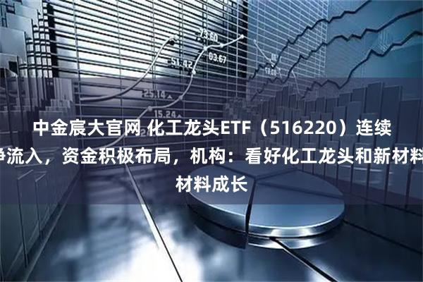 中金宸大官网 化工龙头ETF（516220）连续4日净流入，资金积极布局，机构：看好化工龙头和新材料成长